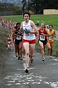 2010NCSXC GD3-598